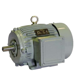 AC MOTOR